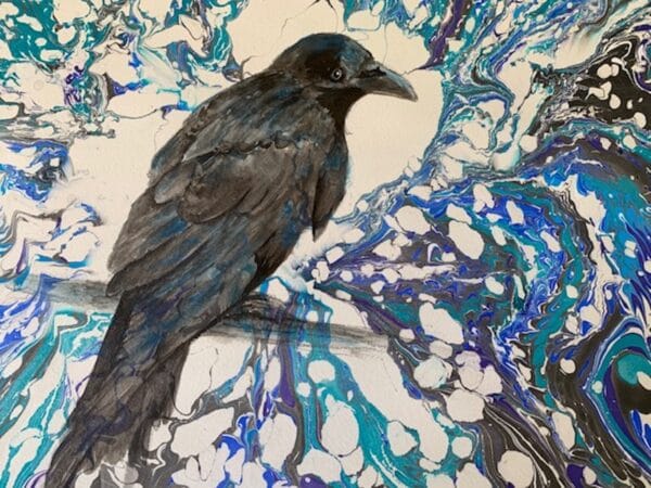 Grey Raven by Laura Hopper