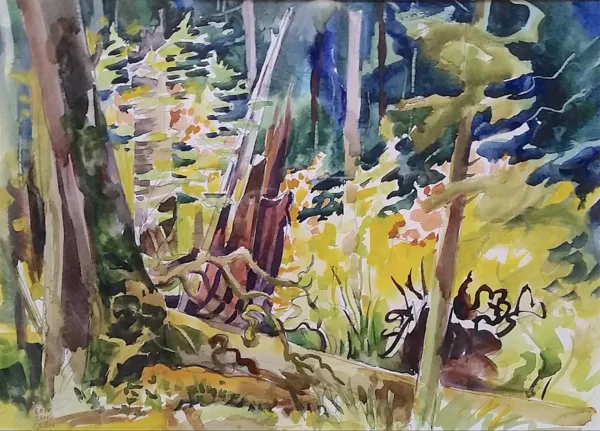 Splash of Sun – Olympic Forest. Watercolor on Paper