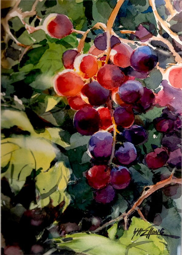 Grapes (On the Vine) Watercolor