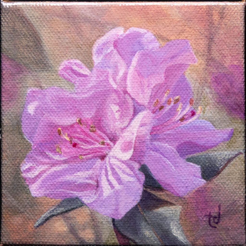 Pink Azalea in Acrylic on Canvas – Grey Raven Gallery